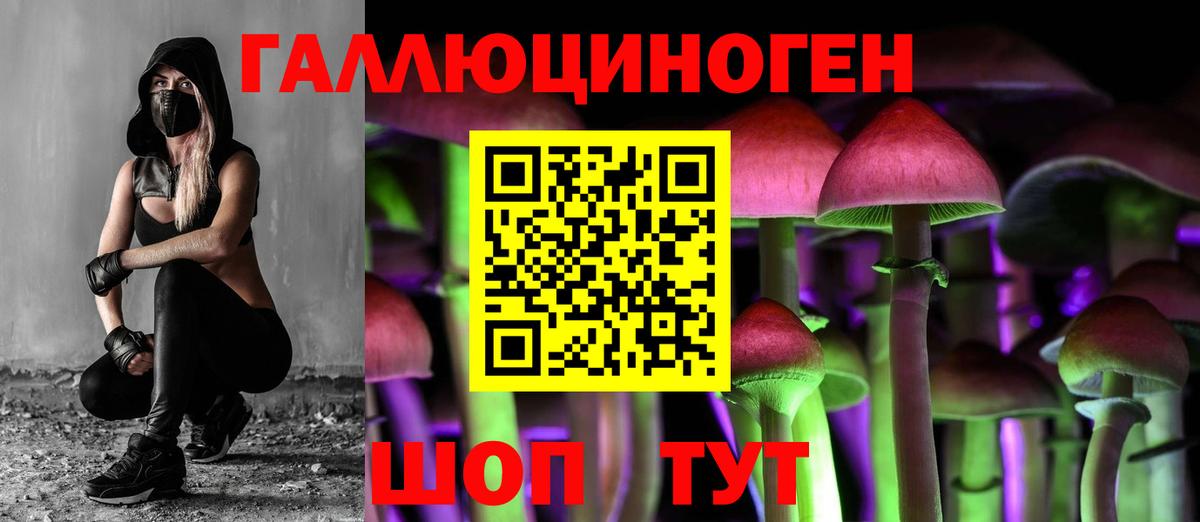Галлюциногенные грибы Magic Shrooms Домодедово