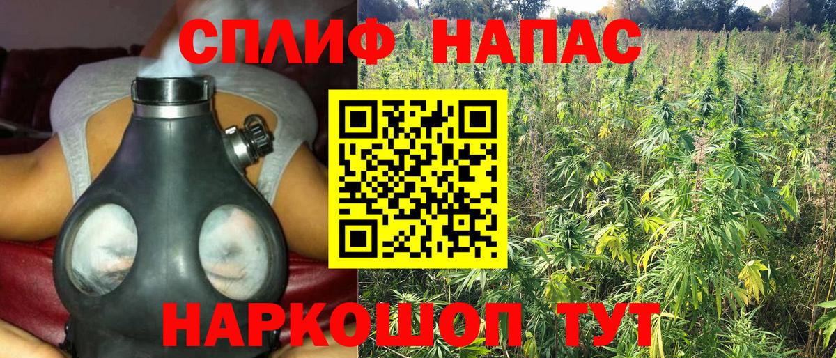 Конопля VHQ Домодедово